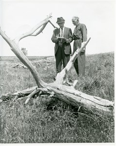 Image description is not available for PHO-4-W689-412